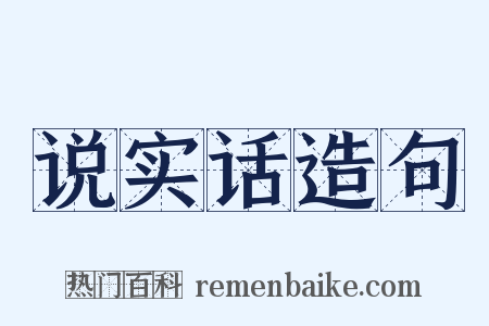 说实话造句是什么意思的图片